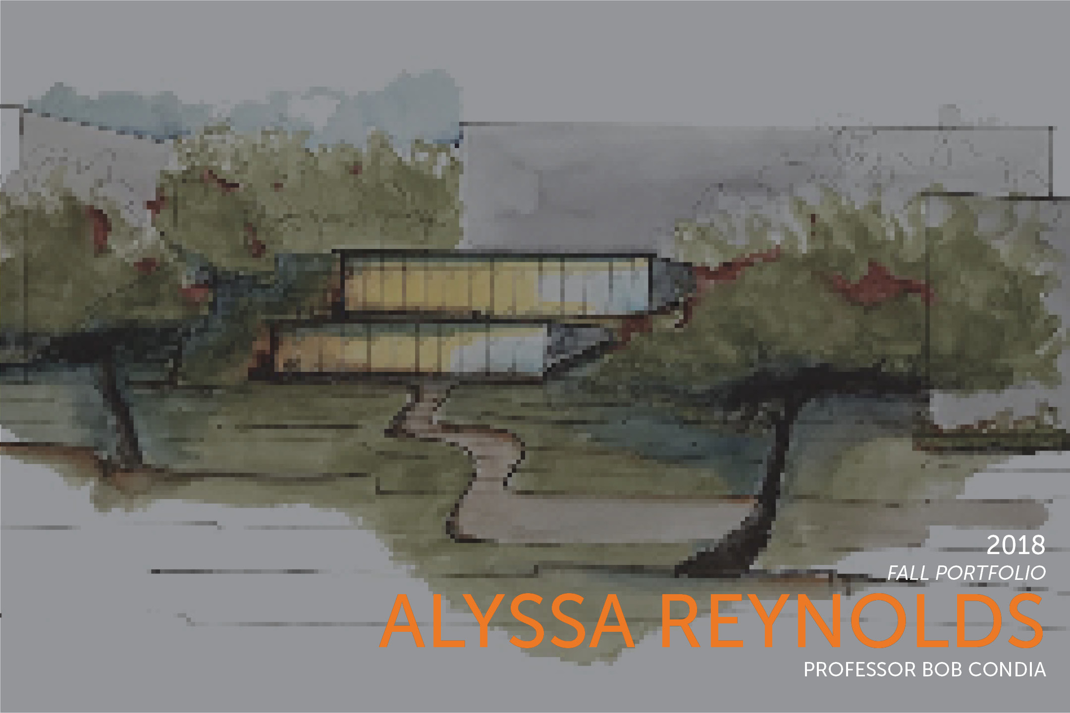Alyssa Reynold's Work