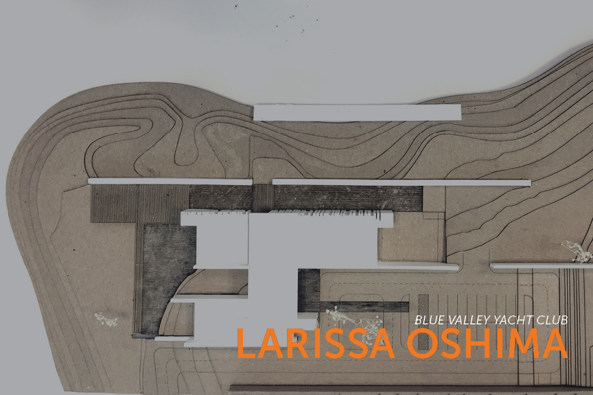 Larissa Oshima's Work