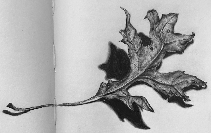 Graphite Leaf