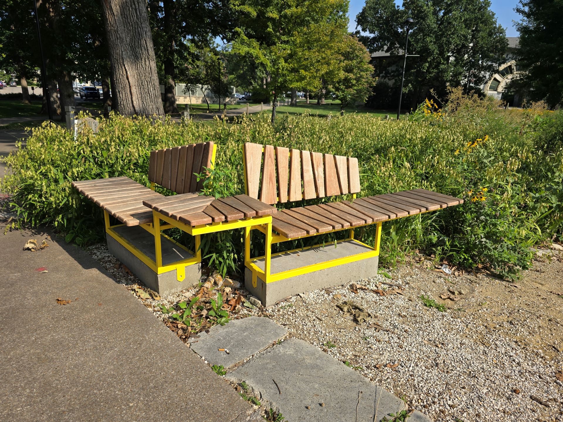 image of bench