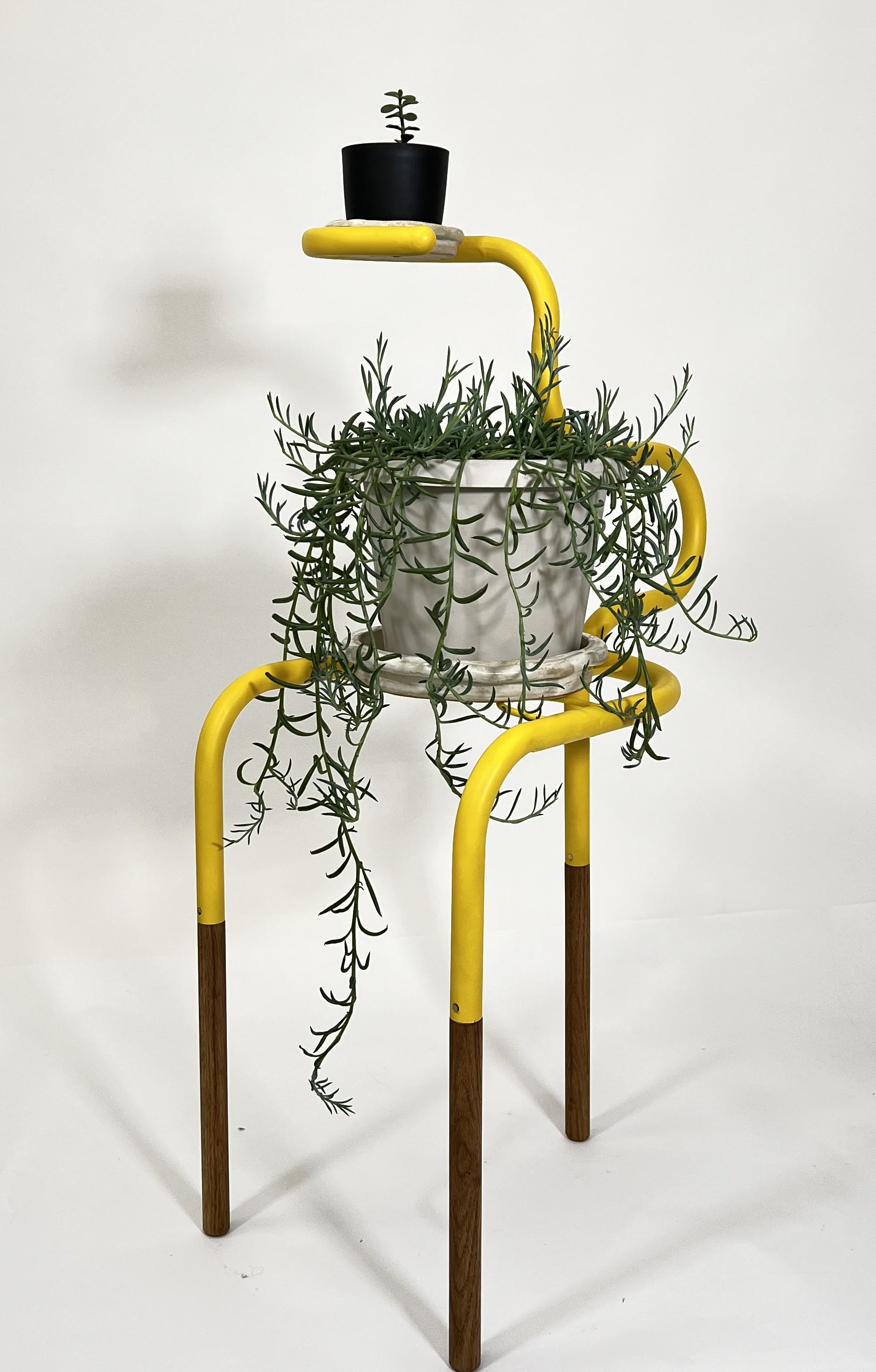 Dilly Dally planter Dilly Dally by Izzy Furioso, Matthew Abbott, and Austin Phillips