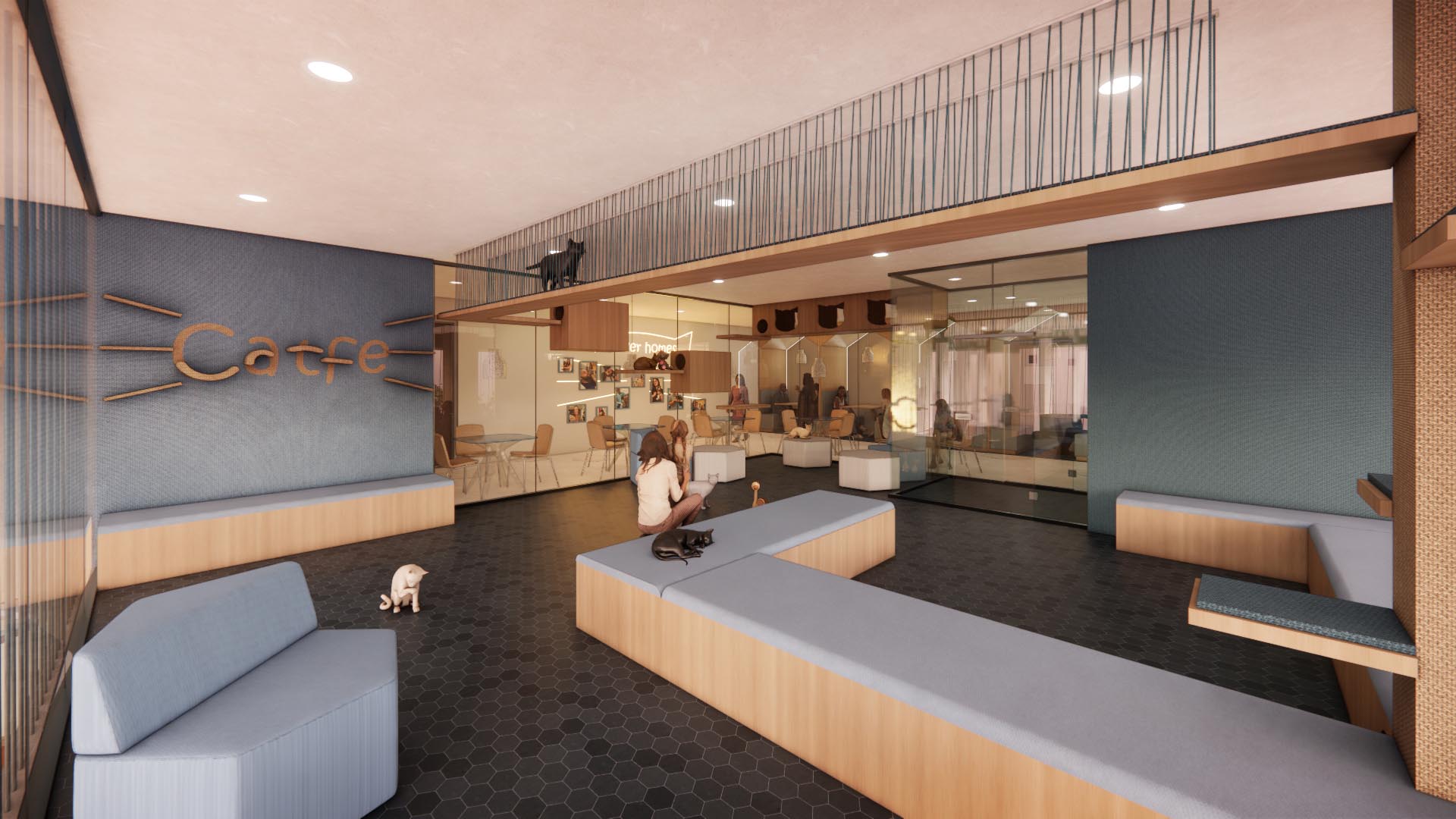 Catfe View 2 Catfe by Kristen Hamel