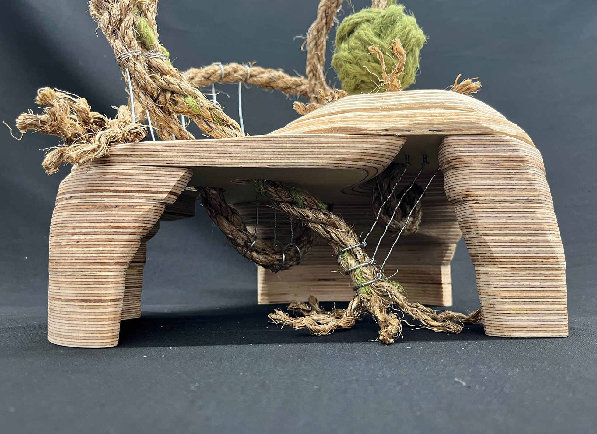 Intertwined View 2 Intertwined by Courtney Tregellas