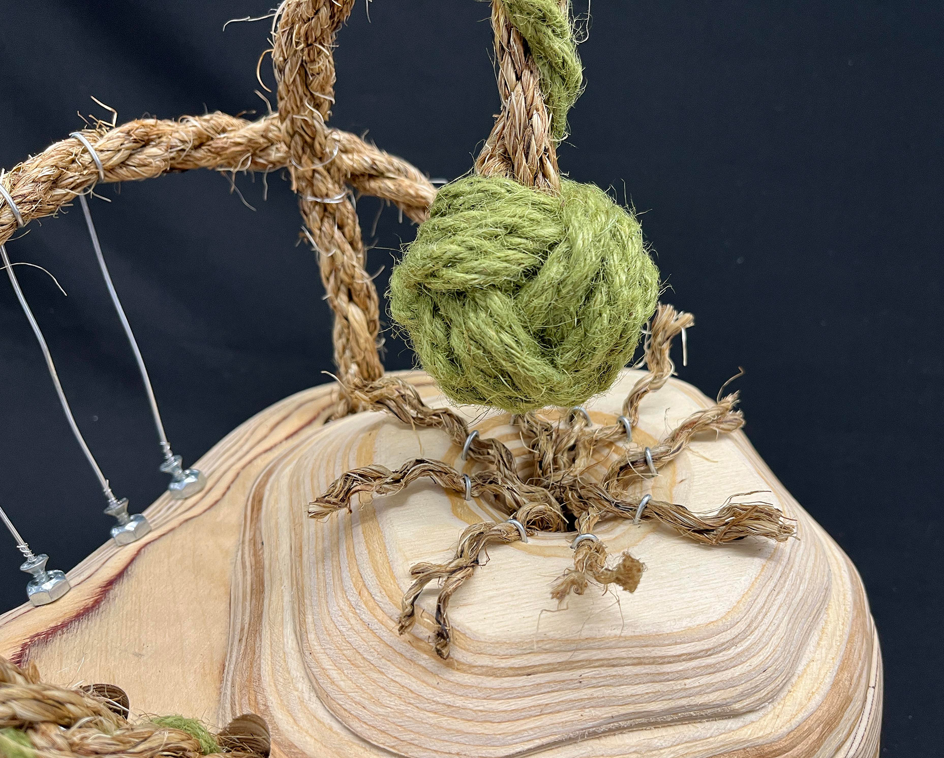 Intertwined Detail View Intertwined by Courtney Tregellas