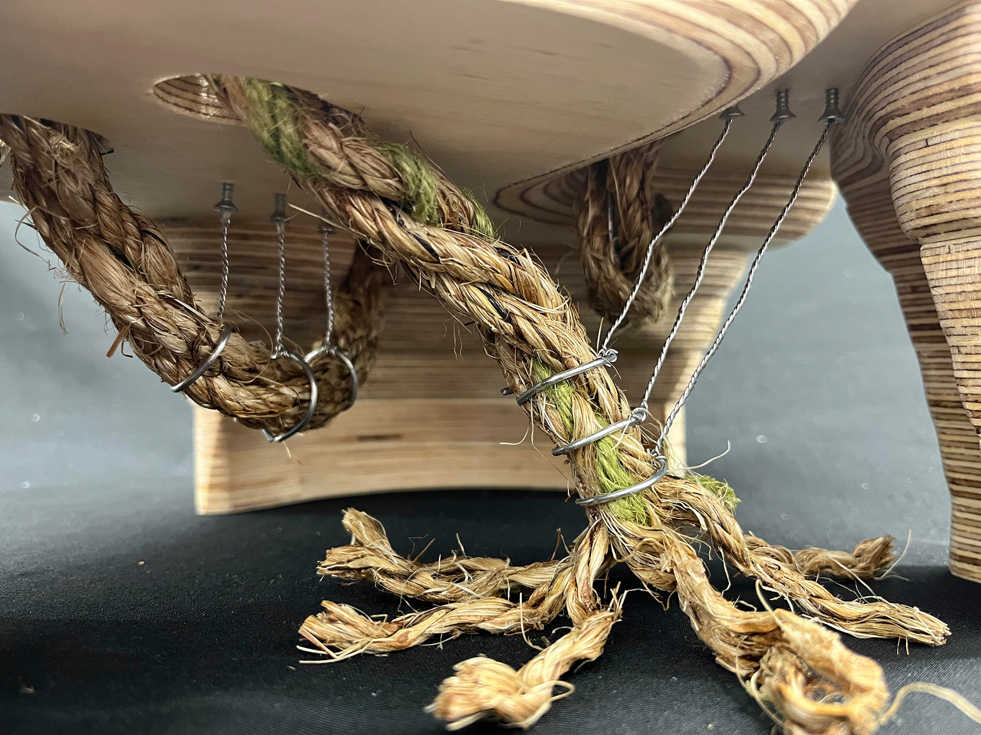 Intertwined Detail View Intertwined by Courtney Tregellas