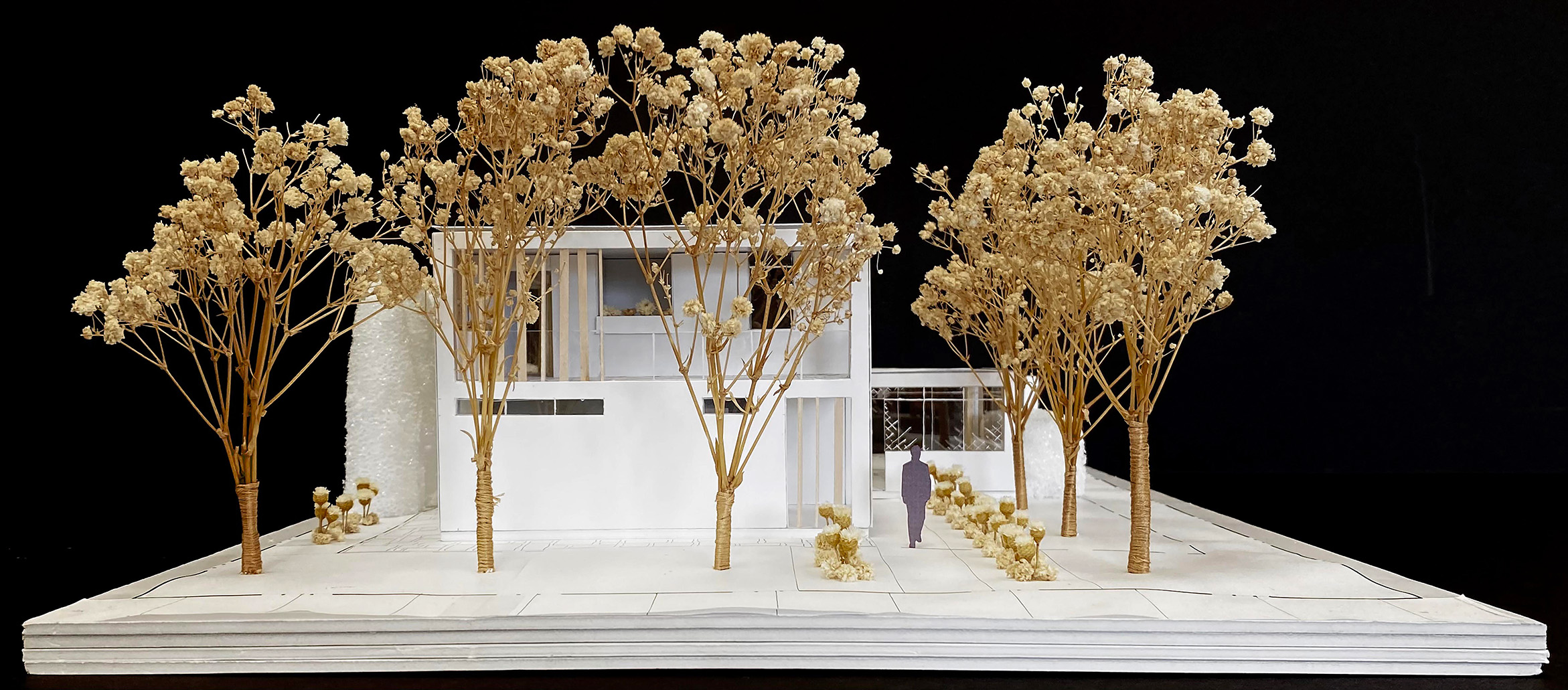 Lakehouse Project Elevation View Lakehouse Project by Samantha Riggs