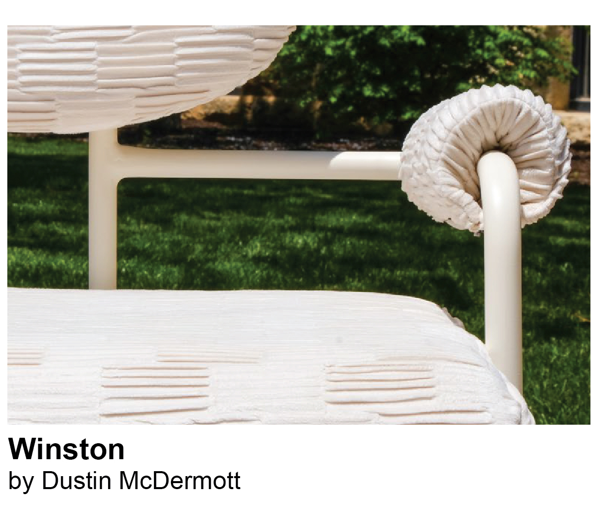 Winston by Dustin McDermott