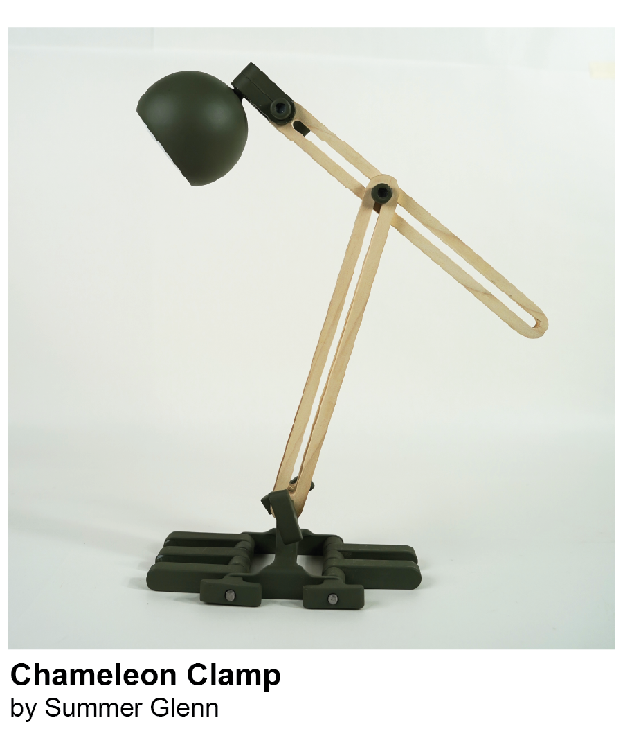 Chameleon Clamp Lamp by Summer Glenn