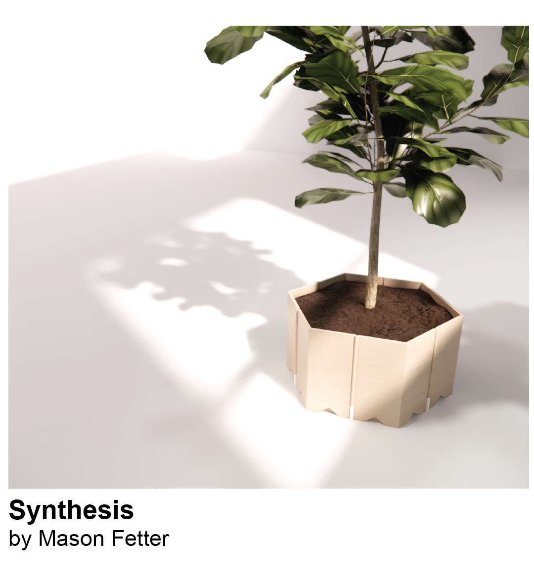 Synthesis Planter by Mason Fetter