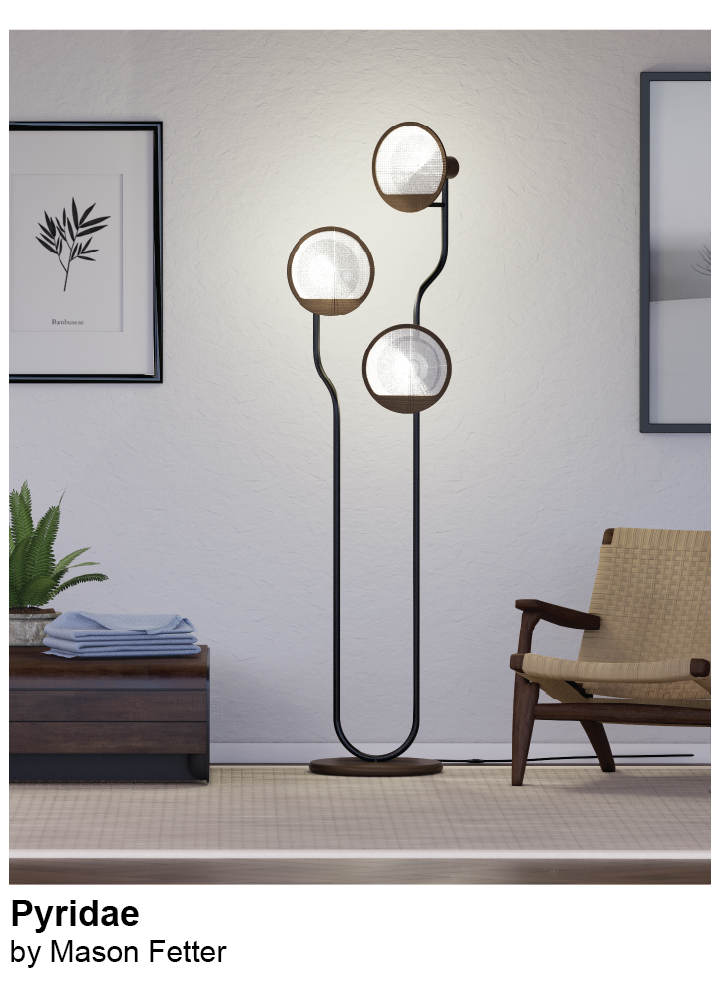 Pyridae Floor Lamp by Mason Fetter