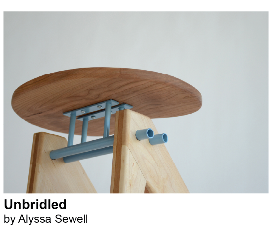Unbridled by Alyssa Sewell