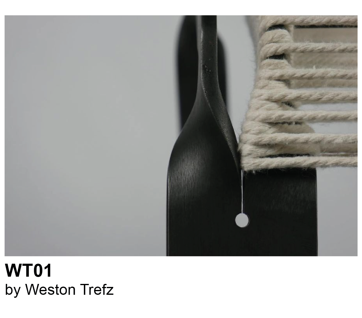 WT01 by Weston Trefz