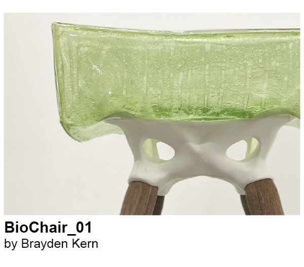 BioChair by Brayden Kern
