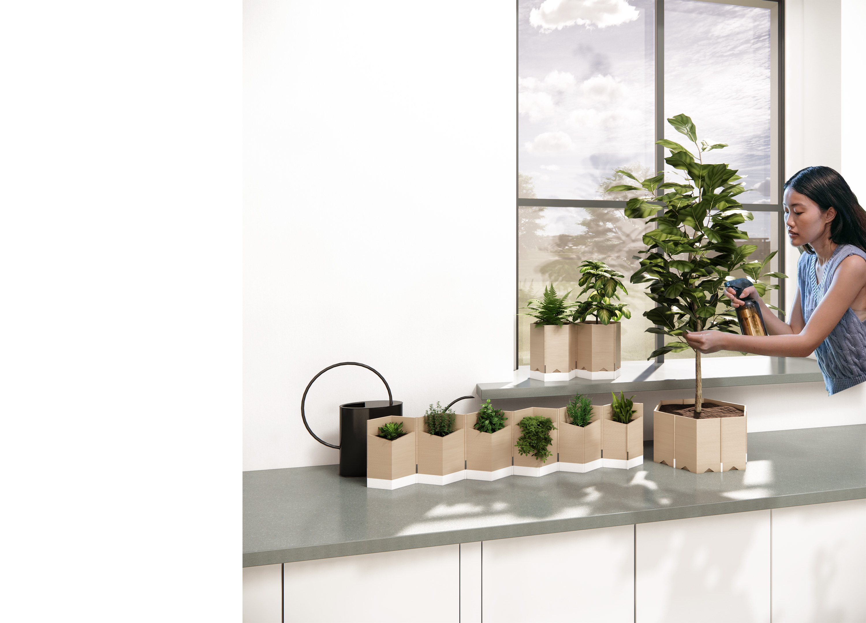 image of potted plant